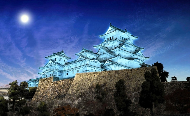 「世界糖尿病デー」などでは、一面をテーマカラーに染めることもできる（姫路市提供）