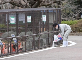 臨時閉園となった神戸市立王子動物園。消毒のため職員が消石灰をまいた＝２日午後、神戸市灘区王子町３