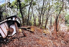 寺田和子さんのバッグや財布が捨てられているのが見つかった雑木林（兵庫県警提供）