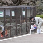 臨時閉園となった神戸市立王子動物園。消毒のため職員が消石灰をまいた＝２日午後、神戸市灘区王子町３