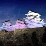 新しい姫路城のライトアップでは、毎日午後８時、９時に季節に応じた特別演出を実施する（姫路市提供）