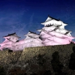 毎日午後８時と９時から季節に応じた光の演出を実施する。４月はサクラをイメージしたピンク色（姫路市提供）