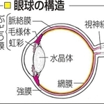 神戸新聞ＮＥＸＴ