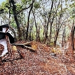 寺田和子さんのバッグや財布が捨てられているのが見つかった雑木林（兵庫県警提供）