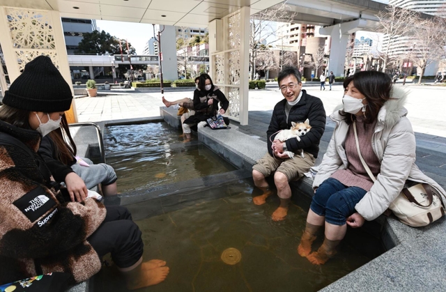 六甲ライナーの高架そばに登場した足湯。地域住民らがひっきりなしに訪れる憩いの場になっている＝神戸市東灘区向洋町中２