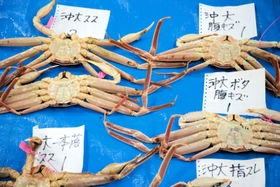「沖大」サイズのカニ。「スス」「腹キズ」「ボタ腹キズ」「指スレ」などの区分ごとに並べる＝柴山港