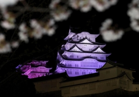 ＬＥＤ化された新たな照明に照らされる姫路城＝２５日夜、姫路市本町（撮影・辰巳直之）