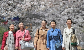 晴れやかな表情で桜のトンネルをくぐる合格者ら＝２９日午前、宝塚市栄町１（撮影・吉田敦史）