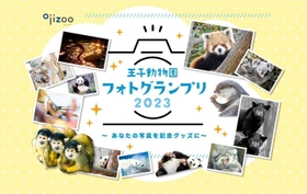 王子動物園フォトグランプリのメインビジュアル