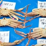 「沖大」サイズのカニ。「スス」「腹キズ」「ボタ腹キズ」「指スレ」などの区分ごとに並べる＝柴山港