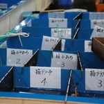 競りでは、細かく仕切られた水槽にカニの区分を示す札が並ぶ。区分ごとに競りが行われる＝柴山港