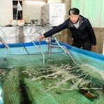 バクテリアを活用した人工海水の循環システムが導入された水槽＝神戸市垂水区本多聞４