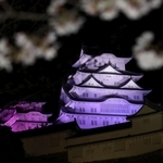 ＬＥＤ化された新たな照明に照らされる姫路城＝２５日夜、姫路市本町（撮影・辰巳直之）