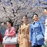 晴れやかな表情で桜のトンネルをくぐる合格者ら＝２９日午前、宝塚市栄町１（撮影・吉田敦史）
