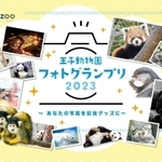 王子動物園フォトグランプリのメインビジュアル