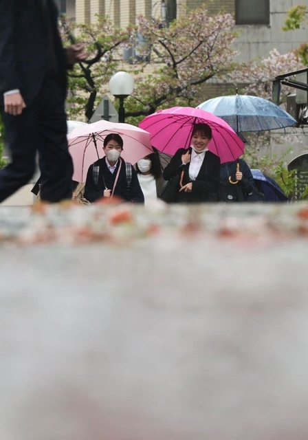 風雨で桜の花びらが散り葉桜となった木々を背に歩く人ら＝７日午前、神戸市中央区北長狭通５（撮影・中西幸大）