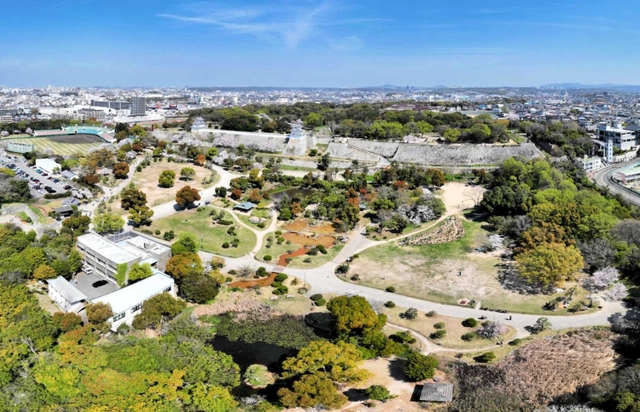 桜が満開だった４日の明石公園。ドローンによる空撮、仮想現実（ＶＲ）動画をインスタグラムで公開中＝兵庫県立明石公園（谷吉將さん撮影）
