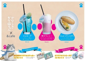 デブ猫ちゃんカフェのメニュー