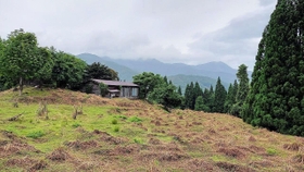 景観遺産に登録された旧熱田集落の棚田＝香美町小代区新屋（兵庫県提供）