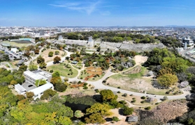 桜が満開だった４日の明石公園。ドローンによる空撮、仮想現実（ＶＲ）動画をインスタグラムで公開中＝兵庫県立明石公園（谷吉將さん撮影）