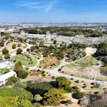 桜が満開だった４日の明石公園。ドローンによる空撮、仮想現実（ＶＲ）動画をインスタグラムで公開中＝兵庫県立明石公園（谷吉將さん撮影）