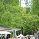 リニューアルしたばかりの神戸・東遊園地で遊ぶ親子ら＝２９日午前、神戸市中央区加納町６