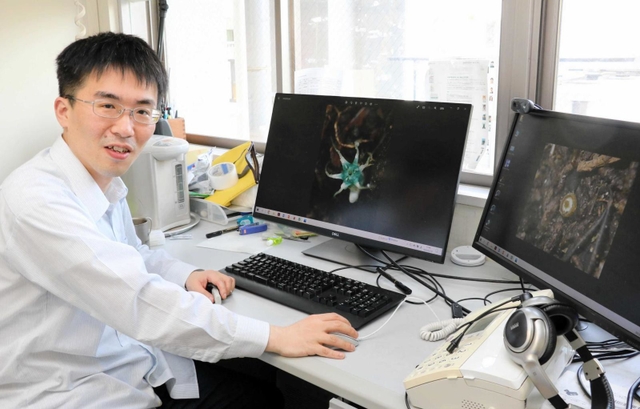 神戸大大学院理学研究科の末次健司教授。「日本で菌従属栄養植物を専門に研究しているのは僕くらい」と笑う＝神戸市灘区六甲台町