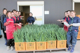 生産した青ネギをアピールする技能実習生や、特定技能で働くベトナム出身者たち＝南あわじ市志知北、アイ・エス・フーズイ・エス・フーズ