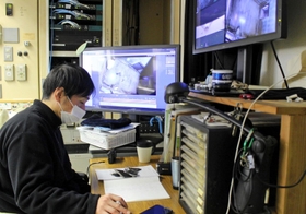 モニターでタンタンの様子を確認する梅元さん＝神戸市灘区王子町３