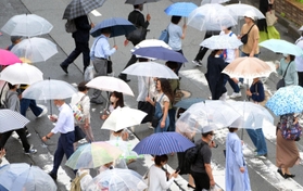 横断歩道で開いた傘の花＝２９日午後、神戸市中央区元町通１（撮影・風斗雅博）