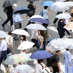 横断歩道で開いた傘の花＝２９日午後、神戸市中央区元町通１（撮影・風斗雅博）