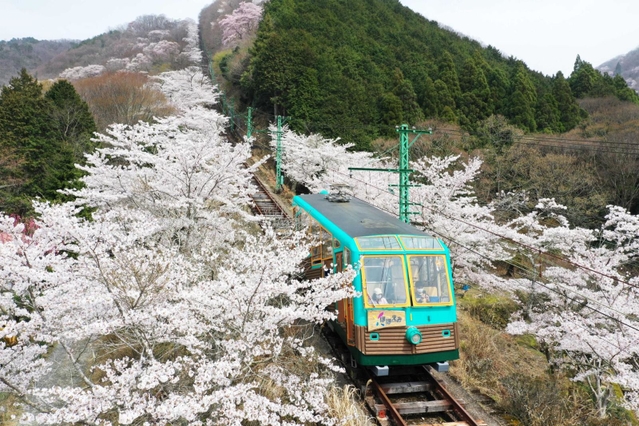 ２０２４年６月での廃止が発表された妙見の森ケーブル＝川西市黒川（２１年３月撮影）