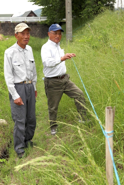 ジャコウアゲハとウマノスズクサの保全に取り組む鎌谷利晴さん（左）と渡辺敏信さん＝姫路市香寺町土師