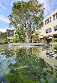 旧湊山小学校の運動場跡にあるニジマス釣り池。週末は多くの家族連れでにぎわう＝神戸市兵庫区雪御所町、みなとやま水族館（撮影・長嶺麻子）