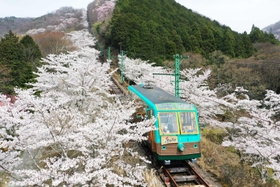 ２０２４年６月での廃止が発表された妙見の森ケーブル＝川西市黒川（２１年３月撮影）
