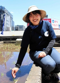「酒米作りは毎日手探り」と語るリーダーの山田亜由美さん＝東京都中央区銀座５、白鶴酒造東京支社