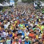 一斉にスタートしたランナー＝２０２２年１１月２０日午前、神戸市中央区