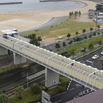 現在の朝霧歩道橋と大蔵海岸（撮影・秋山亮太）