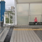 事故から２０年が経過した朝霧歩道橋。南側の入り口付近。事故現場には慰霊碑「想の像」がたたずむ＝２日午後、明石市大蔵海岸通１（撮影・秋山亮太）