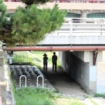 「排除の石」が設置された芦屋川の河川敷。散歩道として親しまれ、市民らが行き交う＝芦屋市公光町