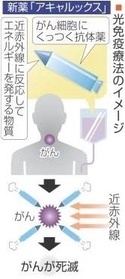 神戸新聞ＮＥＸＴ