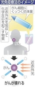 神戸新聞ＮＥＸＴ