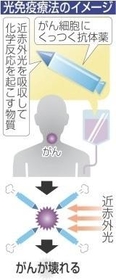 神戸新聞ＮＥＸＴ