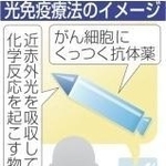 神戸新聞ＮＥＸＴ