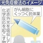 神戸新聞ＮＥＸＴ