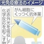 神戸新聞ＮＥＸＴ