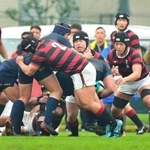 報徳-国学院栃木　国学院栃木の攻撃を阻む報徳フィフティーン＝花園ラグビー場（撮影・秋山亮太）