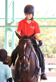 神戸新聞next スポーツ パラ代表争い ４大会ぶり出場照準 馬術の鎮守美奈