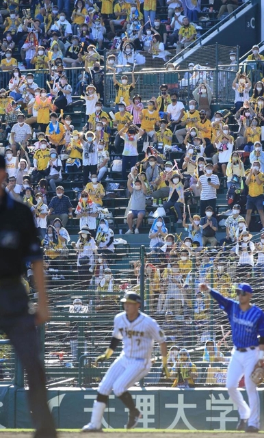 立ち上がって選手を応援するアルプス席のファンら＝２１日午後、西宮市の甲子園球場（撮影・鈴木雅之）