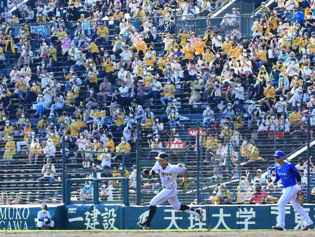 観客数の上限が緩和されて大勢のファンで埋まったアルプス席＝２１日午後、西宮市の甲子園球場（撮影・鈴木雅之）